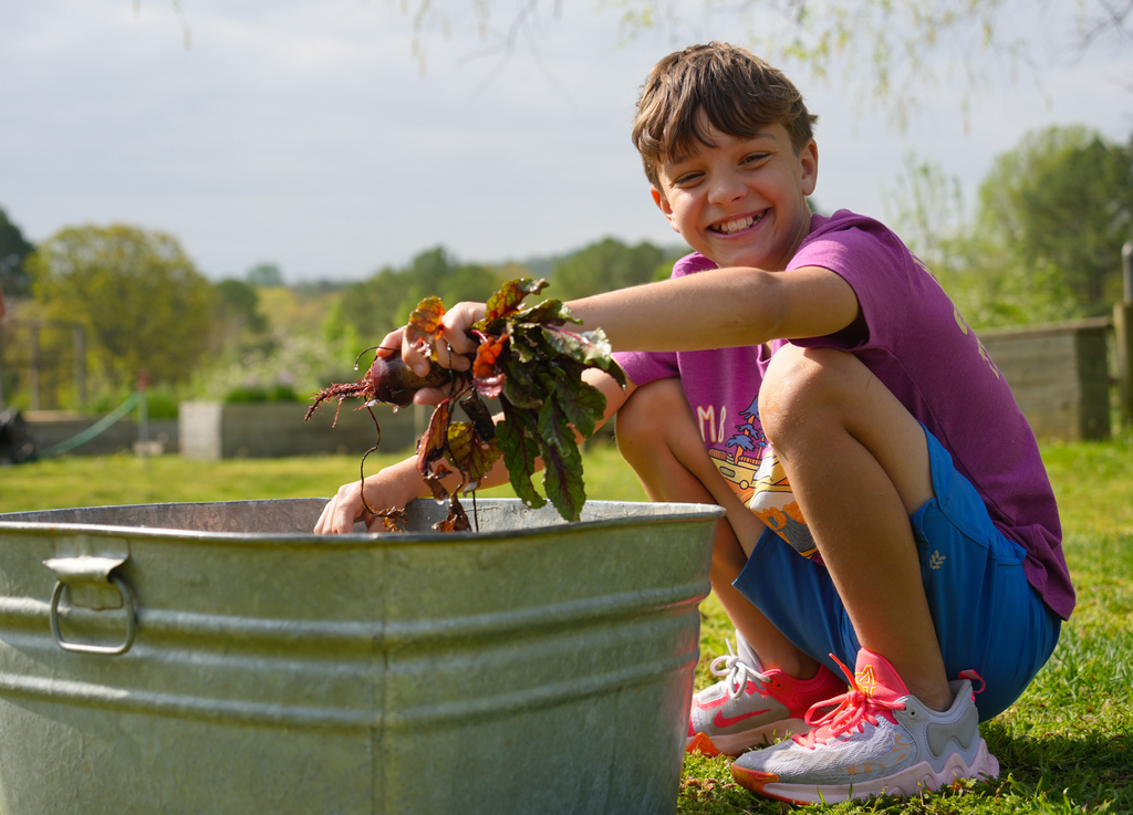 Holcomb 4th grade students work on the Apple Seeds farm picking fresh vegetables and preparing them to eat.