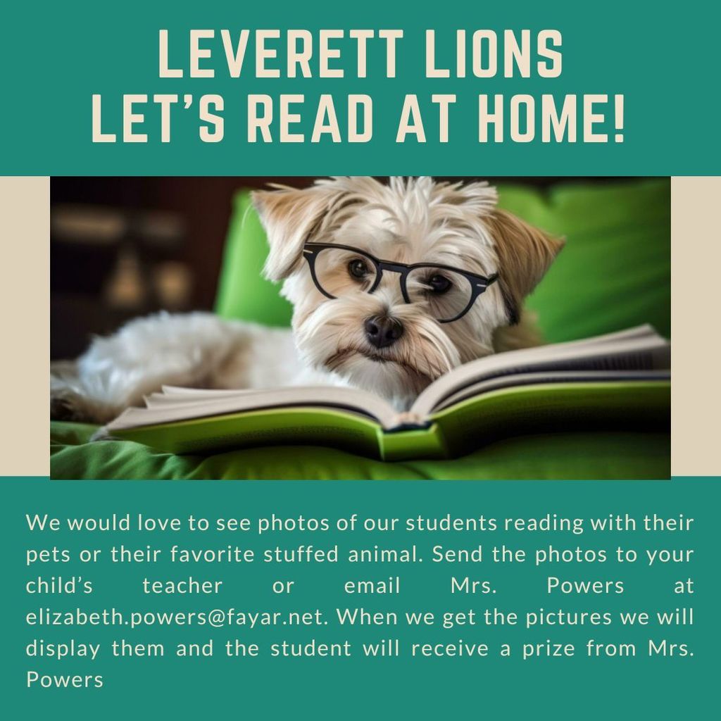 Paws and Pages