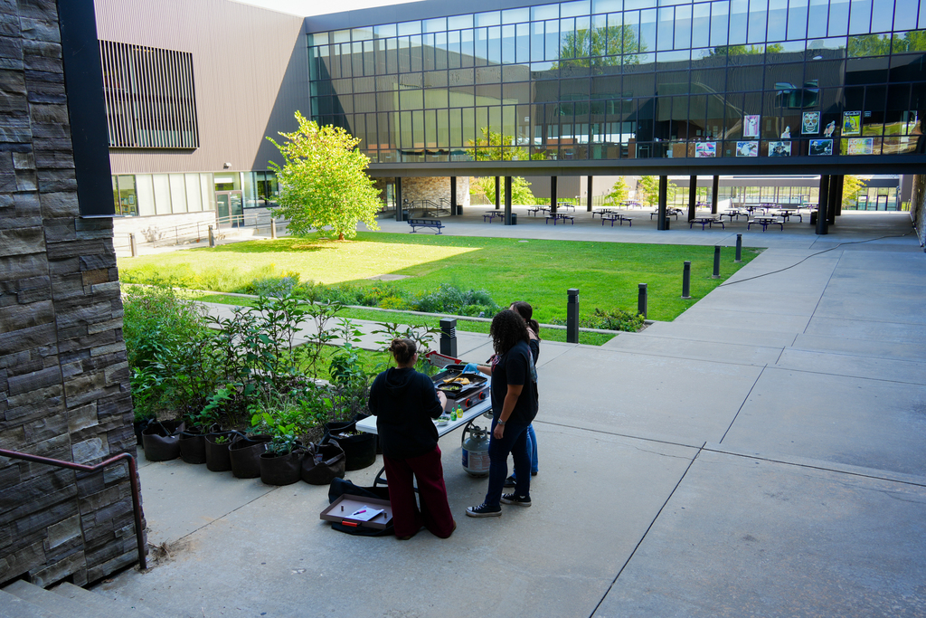 The Fayetteville High School Environmental Science classes recently established a “no mow” zone in the FHS courtyard which supports biodiversity and encourages pollinators and native plants to thrive.