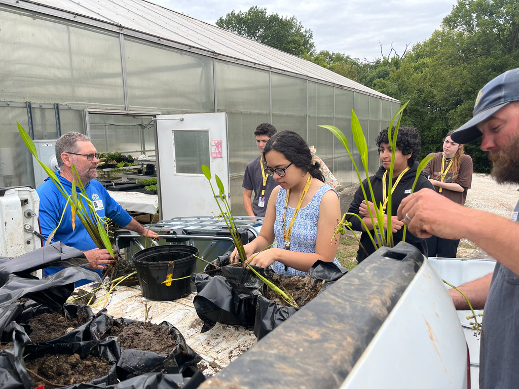 This year marks another exciting collaboration with our region's fisheries biologist, Jonathan Stein. FHS students are hard at work utilizing the school's greenhouses to grow native aquatic plants, all in an effort to improve fish habitats right here in Northwest Arkansas.