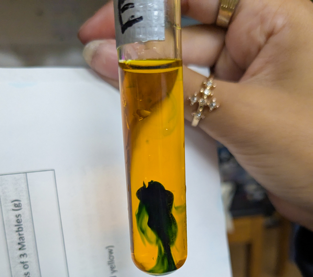 Ms. Krementz’s science students at ALLPS experimented with milk and food coloring, watching a burst of color appear when dish soap was added!