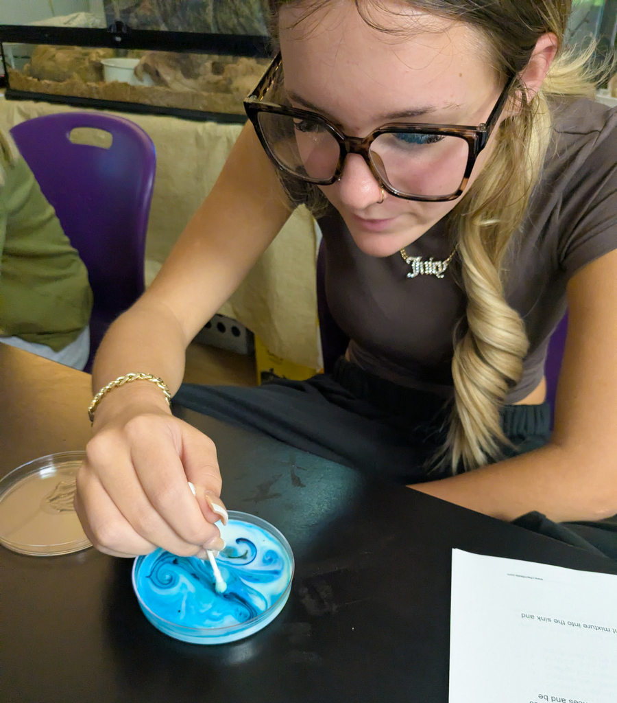 Ms. Krementz’s science students at ALLPS experimented with milk and food coloring, watching a burst of color appear when dish soap was added!