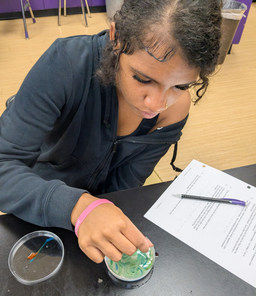 Ms. Krementz’s science students at ALLPS experimented with milk and food coloring, watching a burst of color appear when dish soap was added!