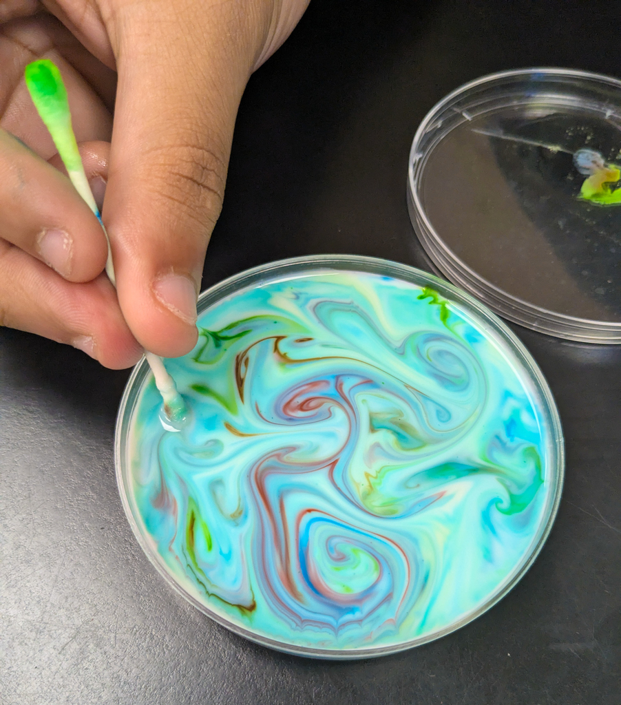 Ms. Krementz’s science students at ALLPS experimented with milk and food coloring, watching a burst of color appear when dish soap was added!