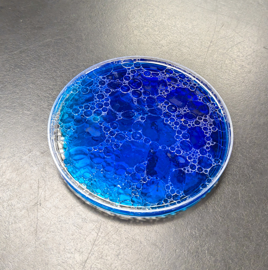 Ms. Krementz’s science students at ALLPS experimented with milk and food coloring, watching a burst of color appear when dish soap was added!