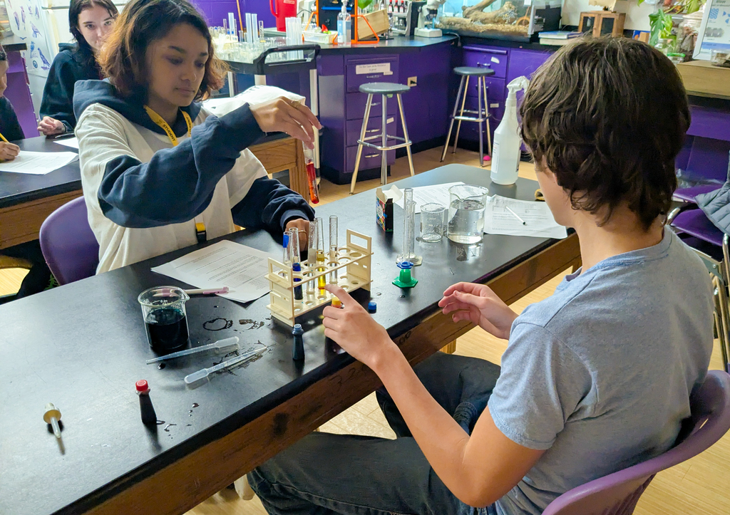 Ms. Krementz’s science students at ALLPS experimented with milk and food coloring, watching a burst of color appear when dish soap was added!