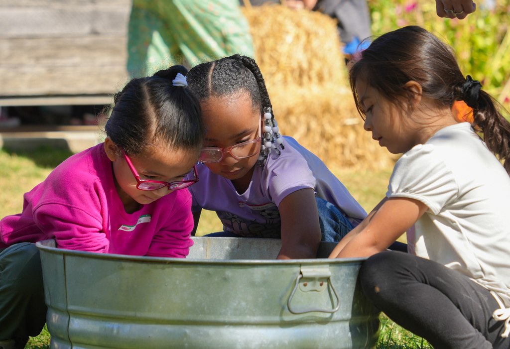 Washington Elementary first graders had a wonderful day at Apple Seeds farm!