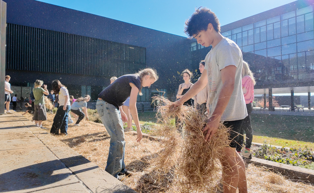 AP Environmental Science students from FHS spent the weekend advancing two student-led sustainability projects, including a new “No Mow” area in the FHS courtyard and ongoing invasive species removal at McNair.