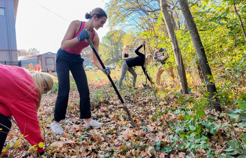 AP Environmental Science students from FHS spent the weekend advancing two student-led sustainability projects, including a new “No Mow” area in the FHS courtyard and ongoing invasive species removal at McNair.