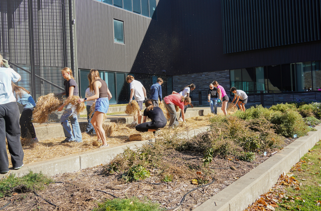 AP Environmental Science students from FHS spent the weekend advancing two student-led sustainability projects, including a new “No Mow” area in the FHS courtyard and ongoing invasive species removal at McNair.