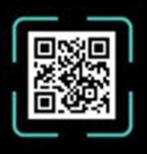 QR Code for The Light Show