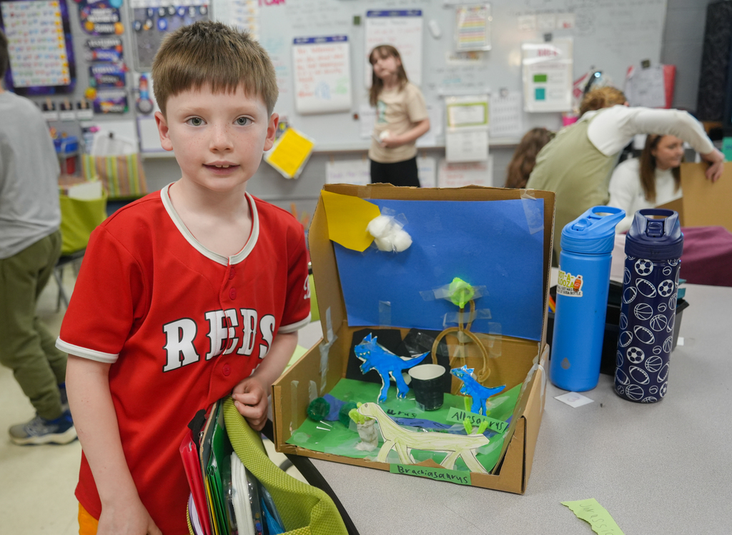 Root Elementary Dinoramas