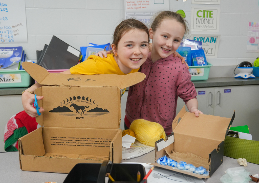 Root Elementary Dinoramas