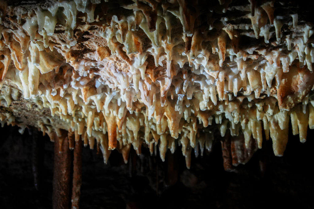  John L Colbert Middle School Outdoor Adventure students explored Cosmic Caverns near Berryville, diving into geology and cave formation during a guided tour.