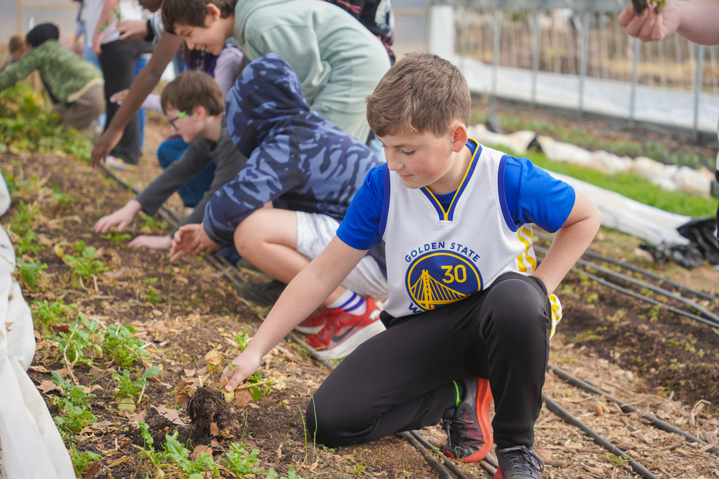 Children in a garden, planting and observing crops, with a Golden State Warriors jersey visible.
