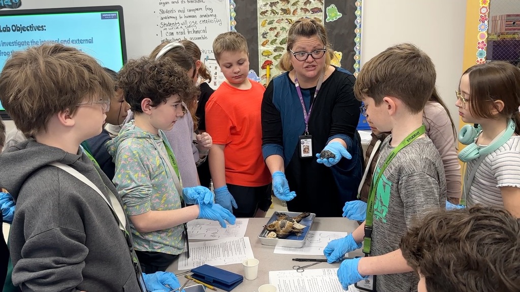 Classroom setting with students wearing gloves. A teacher is guiding them around a table with fossils.