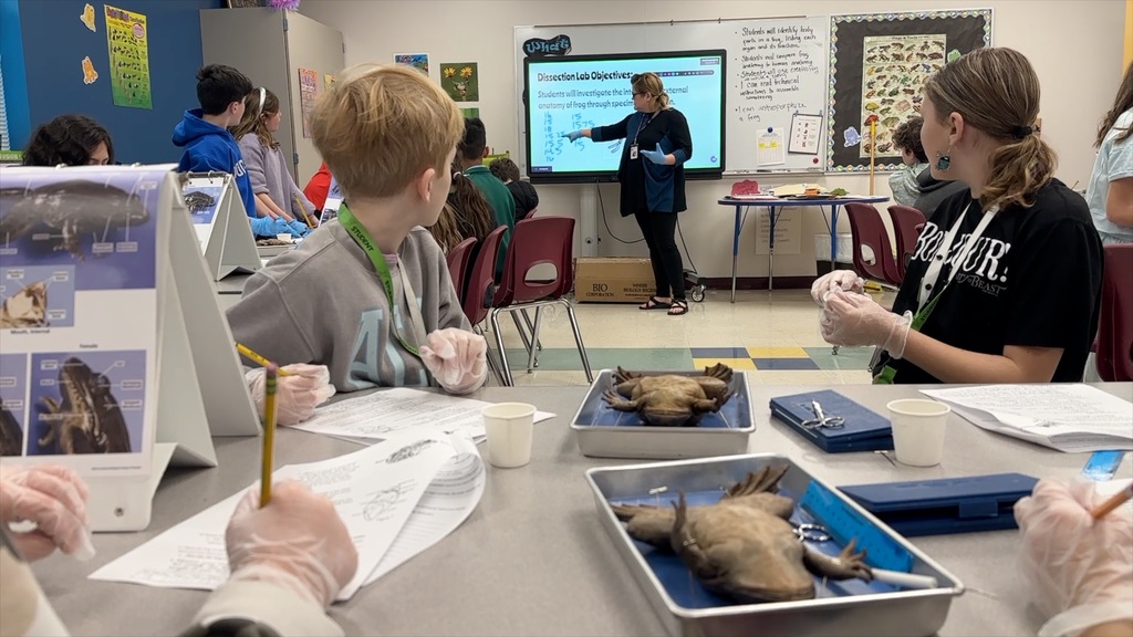 Students sit at a table in a classroom, studying animals on trays. A teacher stands in front of a screen.