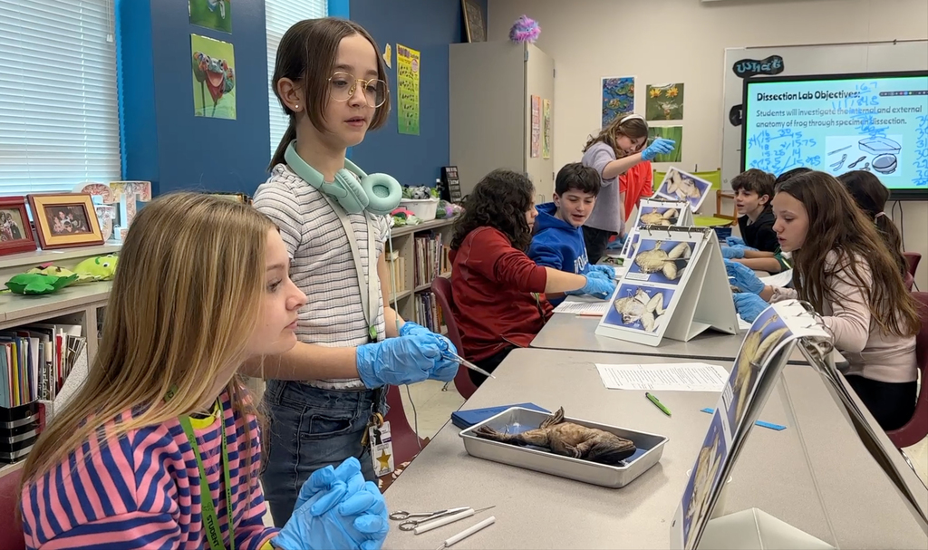 Students in a classroom, wearing gloves and examining items on a table. A teacher stands at a screen.