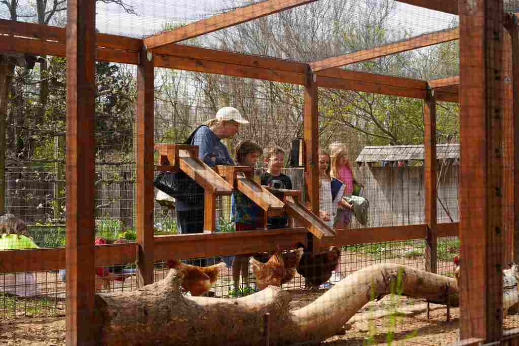 Our elementary Gifted & Talented students had the opportunity to extend their learning beyond the classroom this week during a visit to the Fayetteville Garden of the Ozarks. 