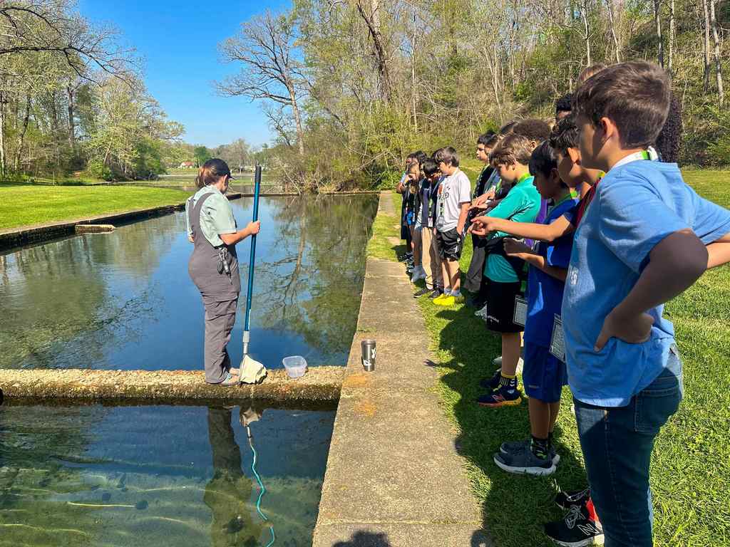 Students observe a person standing on a bridge over a small stream, holding a fishing rod.