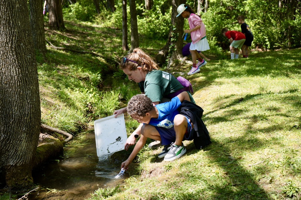 Children and adults examine a creek in a park. One child holds a container.