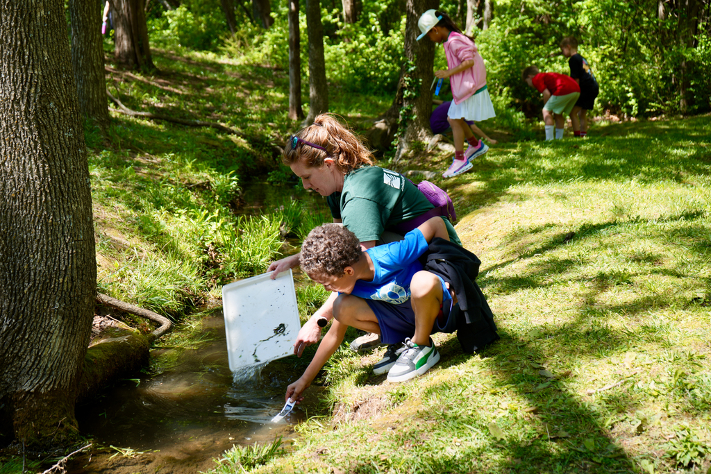 Several children collect water samples in a small stream. Some are standing; others are bent over.
