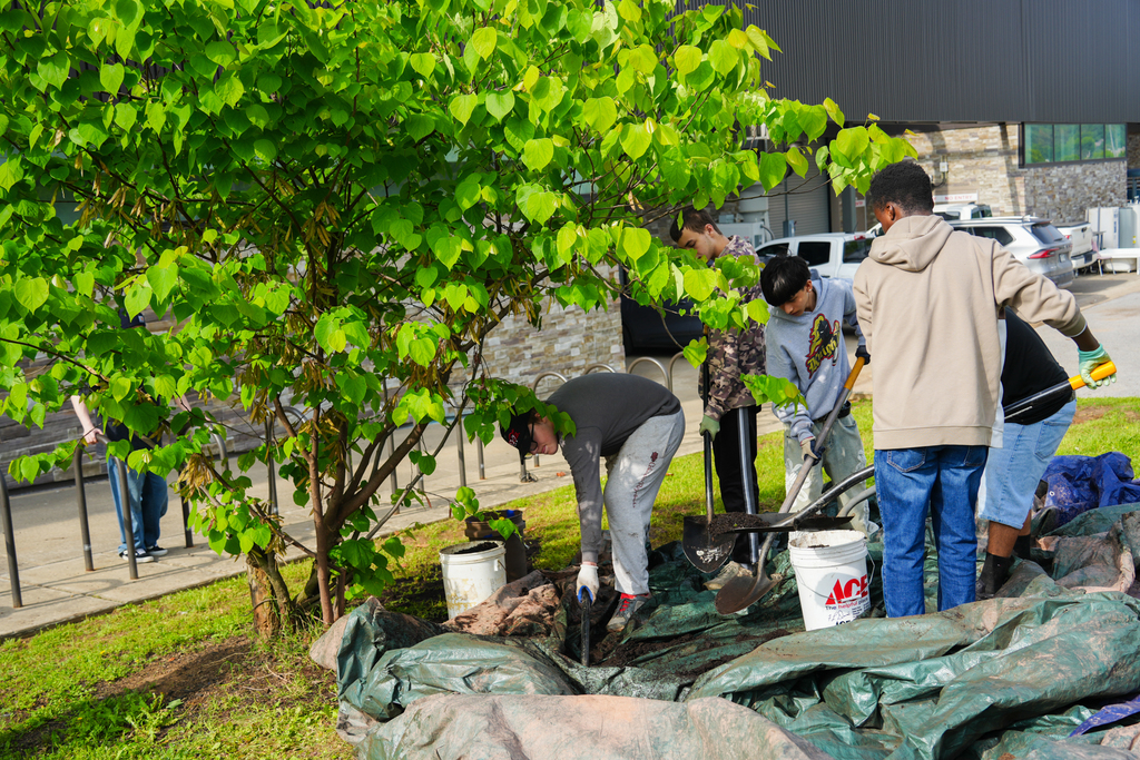 A group of people work outdoors. They are planting a tree using shovels. Some wear gloves and a tarp is on the ground.