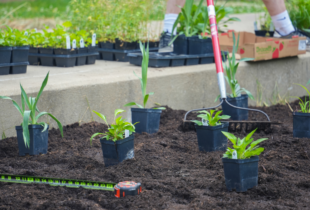 A person using a rake to level soil with potted plants. A ruler and measuring tape are on the ground.
