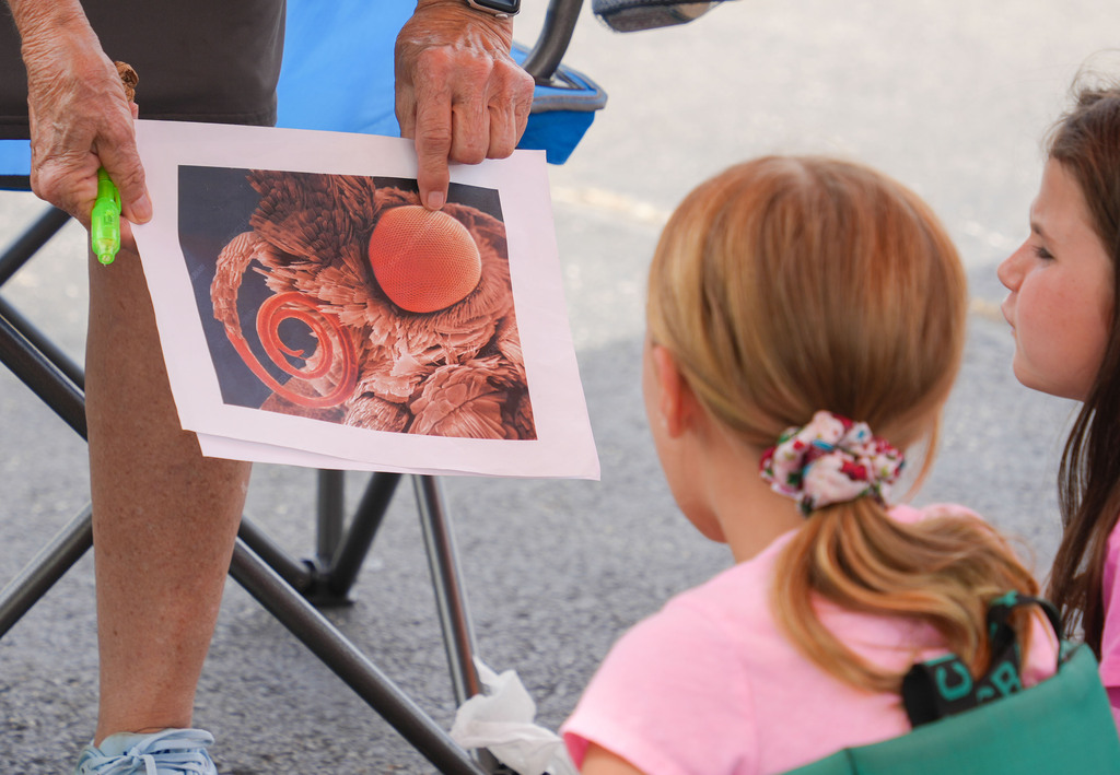 Adult points to a printed image of a human eye. Two girls look on from folding chairs.