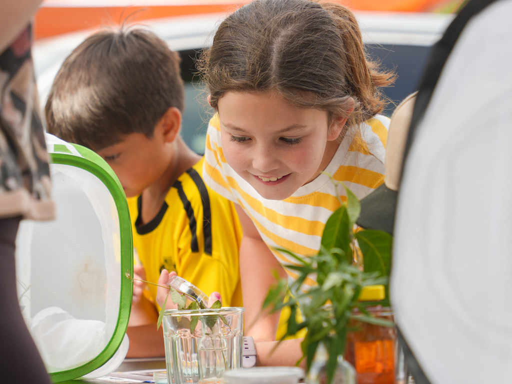 Two children examining something inside a transparent container; one boy in yellow, the other girl in white stripes.