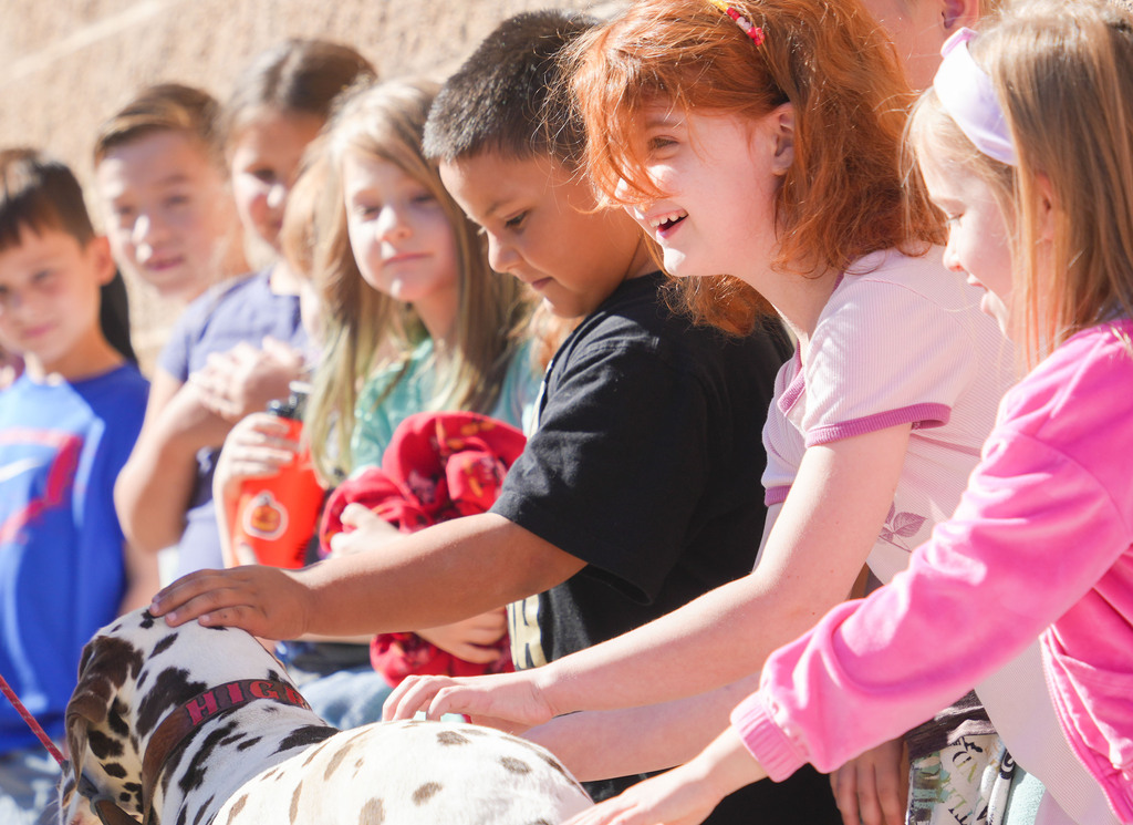 Children stand in a group, petting a spotted dog. The dog wears a collar. A brick wall is in the background.