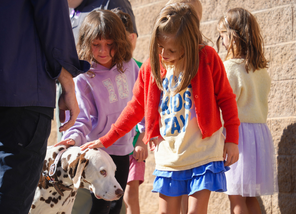 Four young girls with a Dalmatian. Two girls are wearing dresses, and the other two are in hoodies.