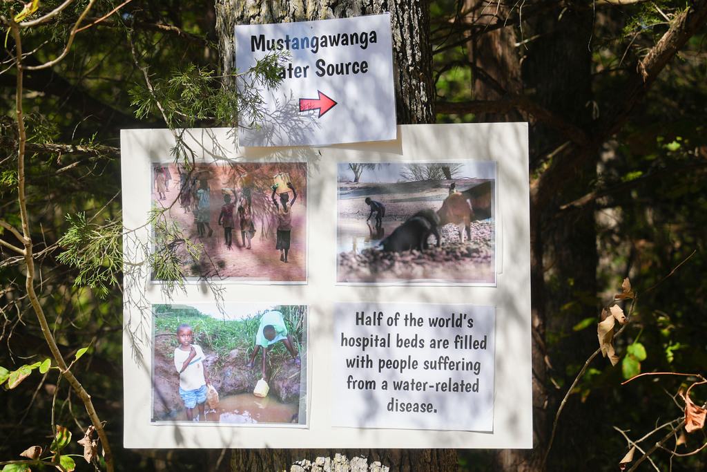 A sign with multiple images and text hangs from a tree. It reads "Half of the world's hospital beds are filled with people suffering from a water-related disease."