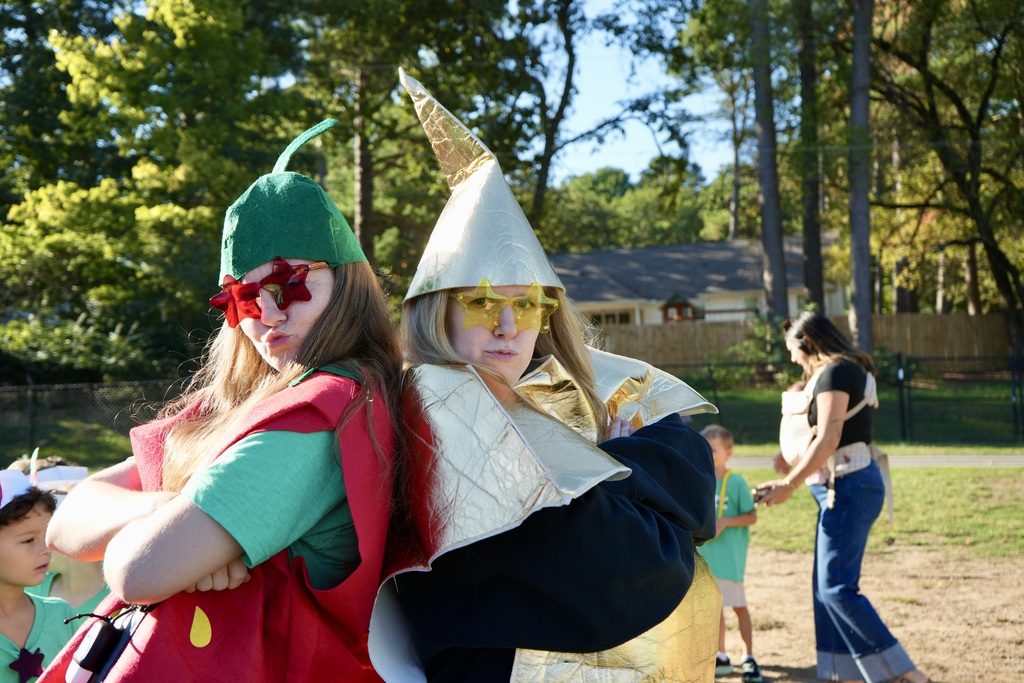 Two individuals in costumes stand in a park. One wears a green tunic and red cape. The other wears a gold cone hat and yellow glasses.