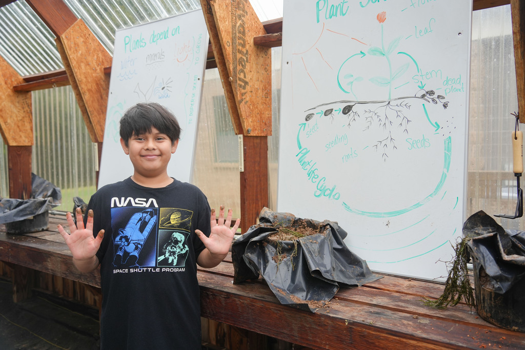 A young boy with his hands raised, standing in front of a whiteboard displaying a diagram of a plant.