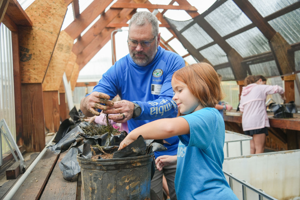 A man and girl sort through plants in a bucket, with a wooden structure in the background.