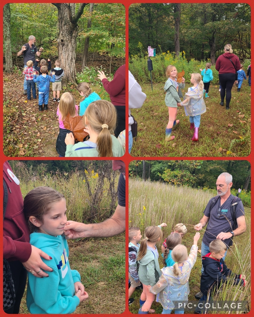 nature walk