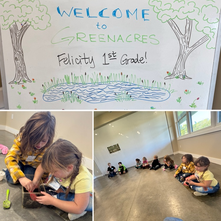 Worm investigation!