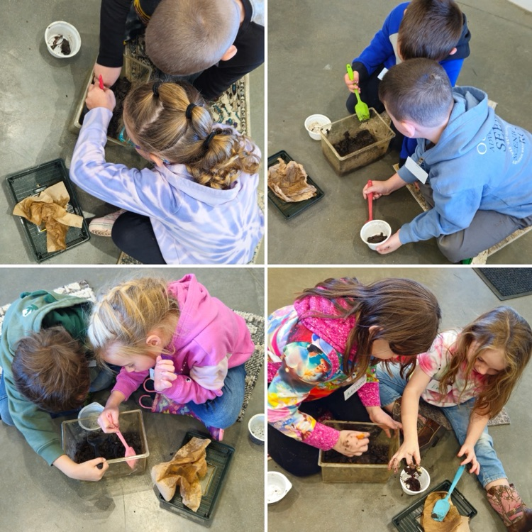 Looking at worms!