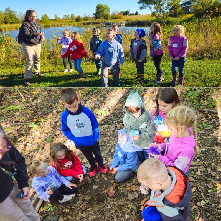 Looking for living things!