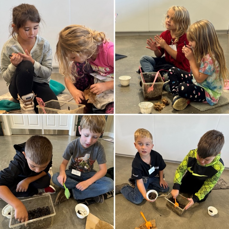 Worm investigation!