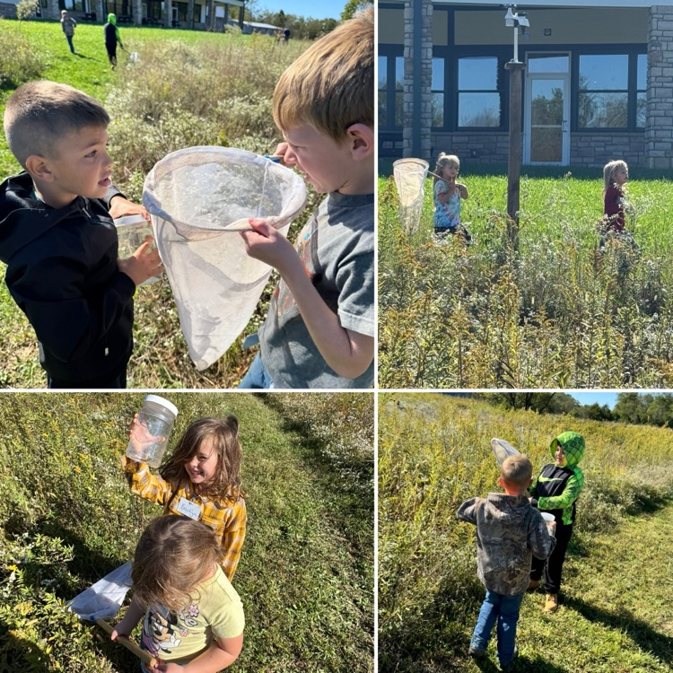 Catching critters!