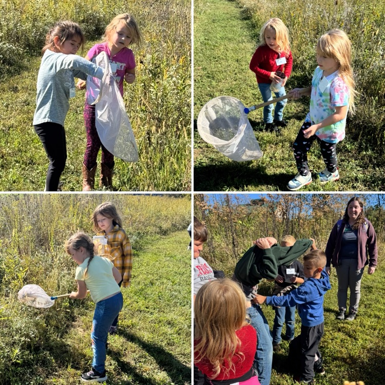 Catching critters!