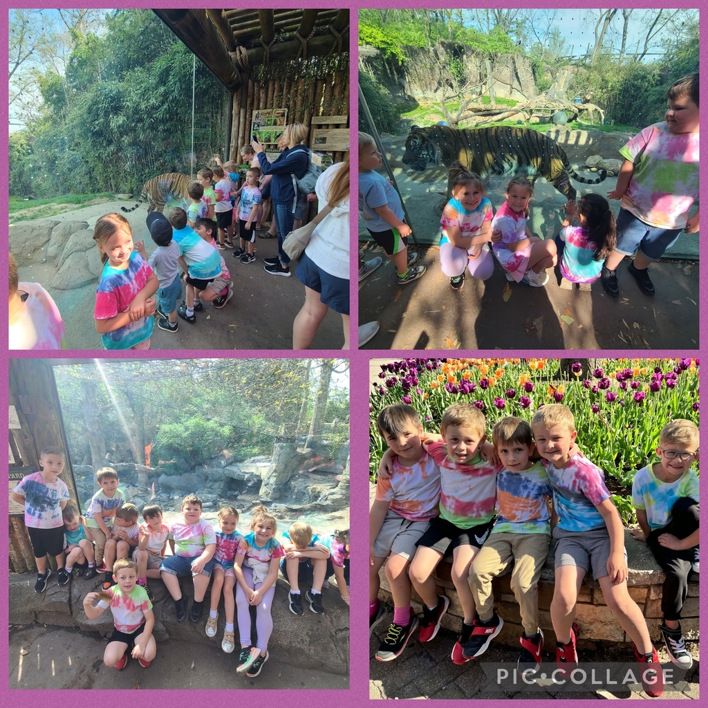 snow leopards, tigers and best buds