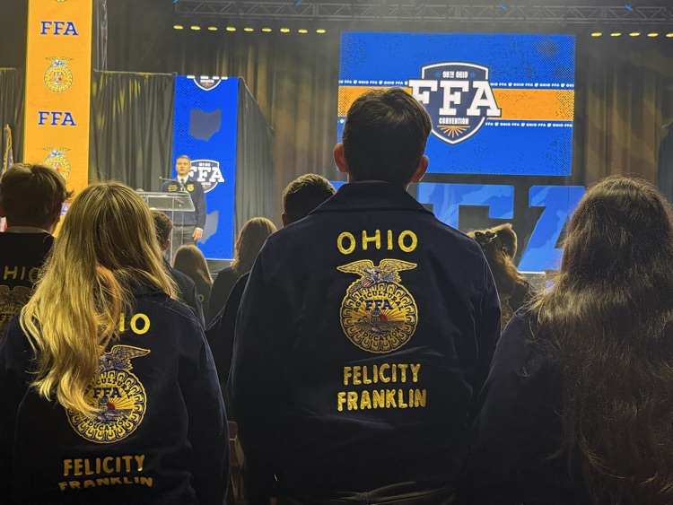 FFA Stage 