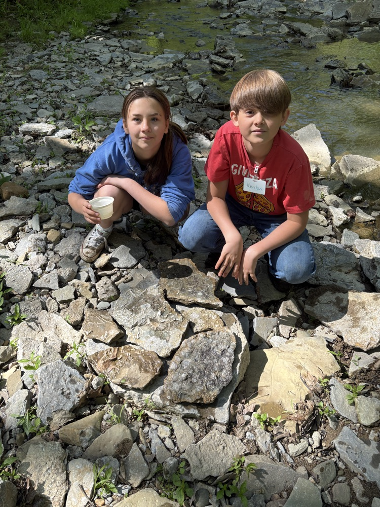 More Fossils !