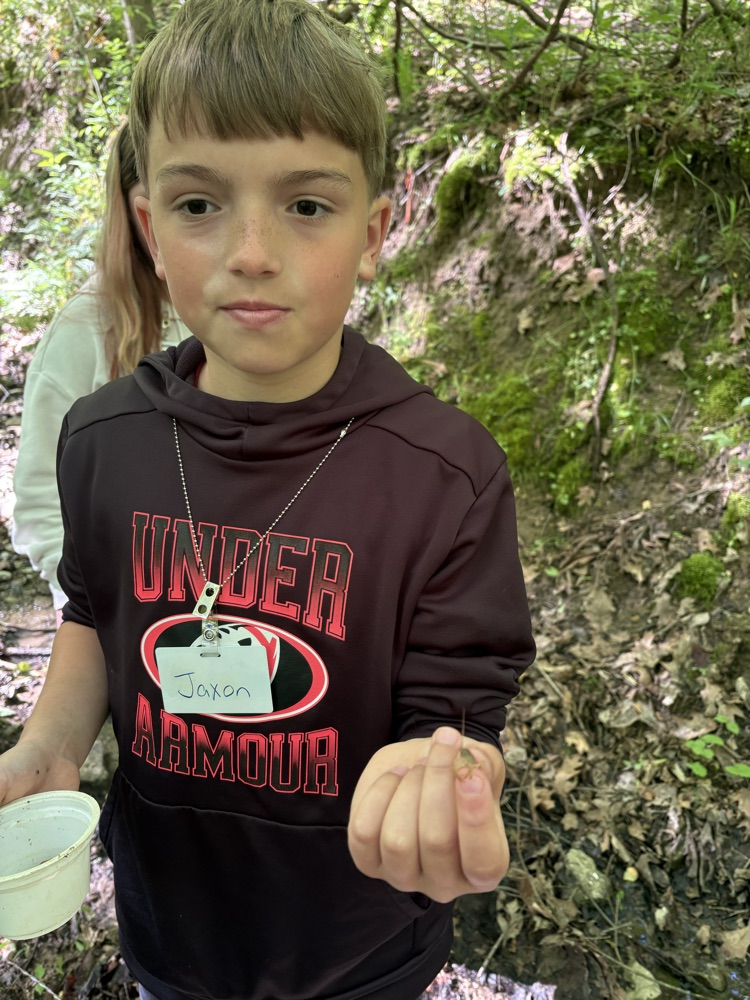 Tiny Crawdad!