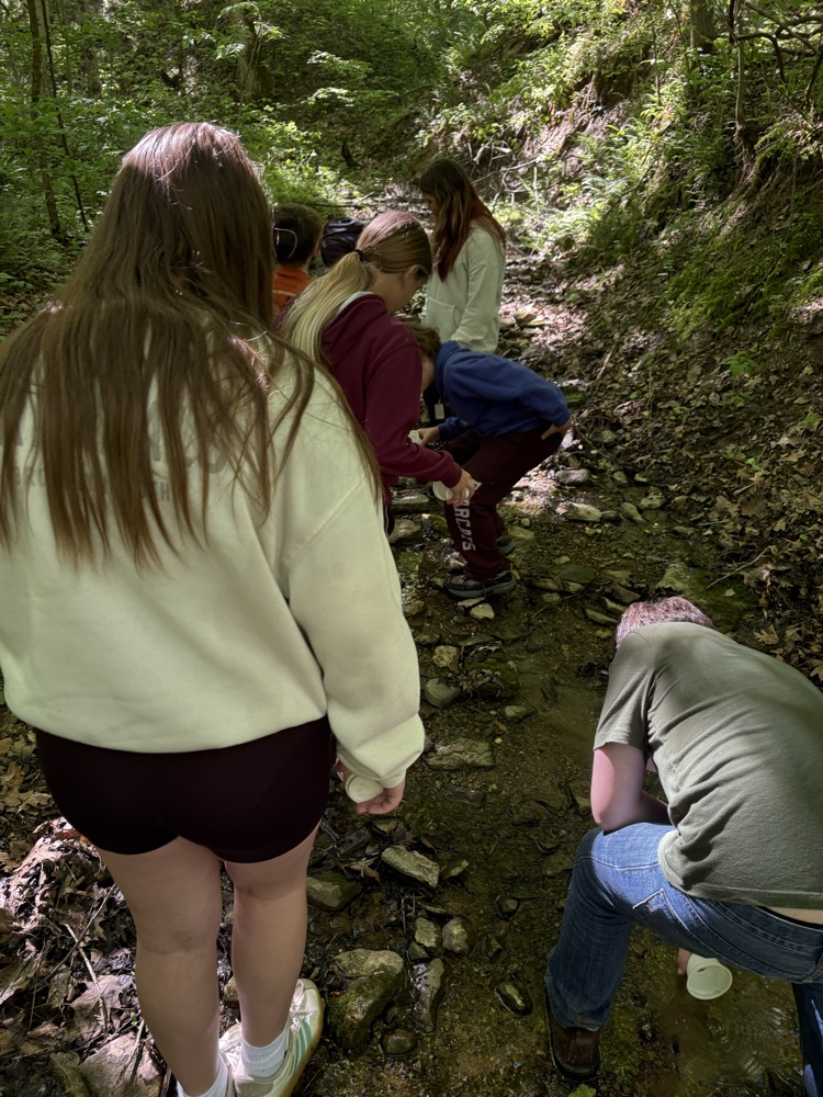 Creek Fun!