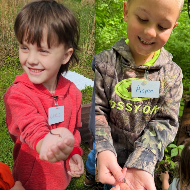 Some worms and roly-poly bugs! 