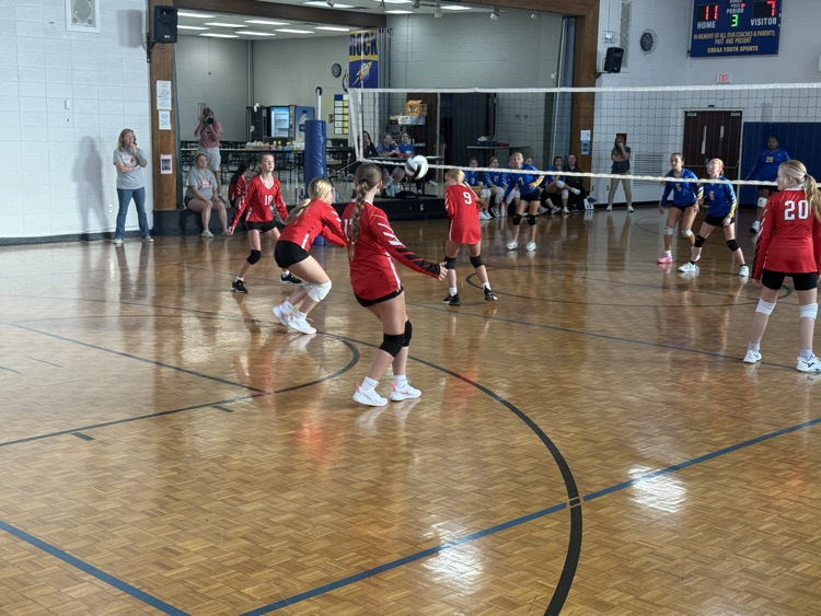 volleyball 